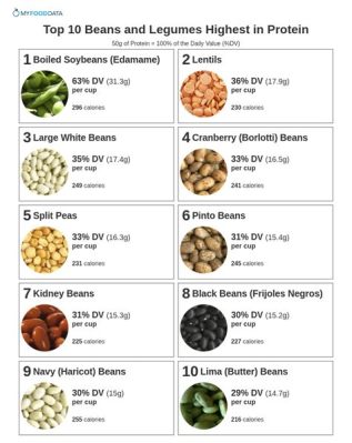 How Much Protein in Rice and Beans